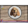 écussons Cokers face dog brodés à coudre ou à thermocoller