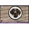 écussons Braque allemand face dog brodés à coudre ou à thermocoller