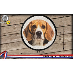 écussons Beagle face dog brodés à coudre ou à thermocoller
