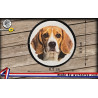 écussons Beagle face dog brodés à coudre ou à thermocoller