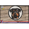 écussons rottweiler face dog brodés à coudre ou à thermocoller